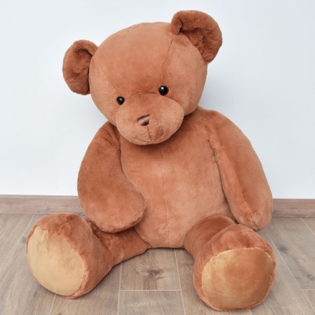 Histoire d'Ours Titours 135cm