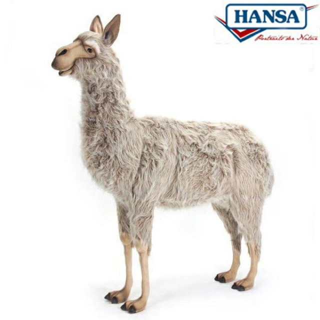 HANSA アルパカ170