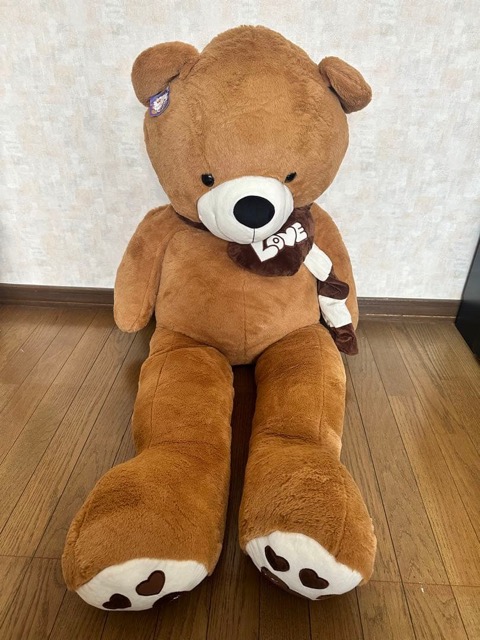 特大テディベア 140cm